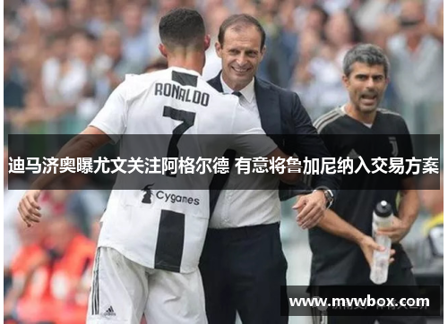 迪马济奥曝尤文关注阿格尔德 有意将鲁加尼纳入交易方案