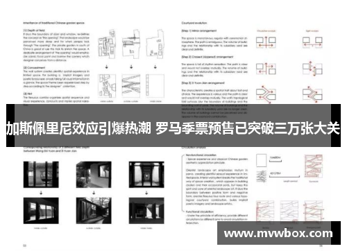 加斯佩里尼效应引爆热潮 罗马季票预售已突破三万张大关