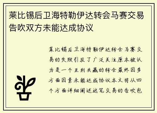 莱比锡后卫海特勒伊达转会马赛交易告吹双方未能达成协议